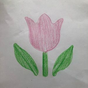 Meet your Posher, Haifa